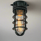 Industrial Flush Mount Light - The Sentinel