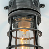 industrial cage light fixture 